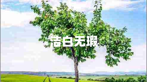 潔白無瑕