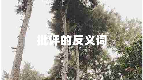 批評(píng)的反義詞