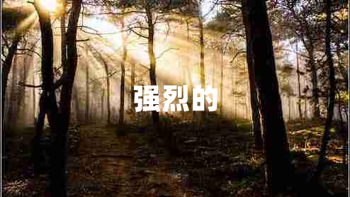 強(qiáng)烈的
