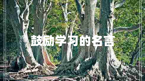 鼓勵(lì)學(xué)習(xí)的名言