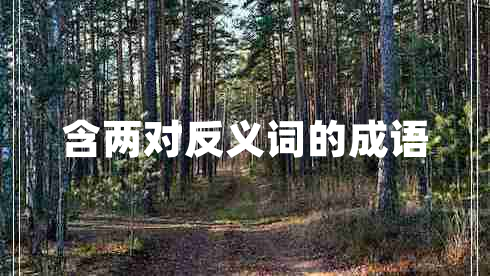 含兩對反義詞的成語