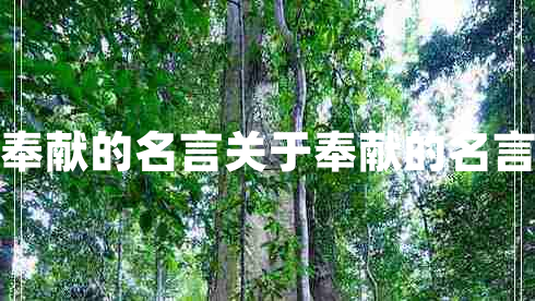 奉獻的名言關于奉獻的名言