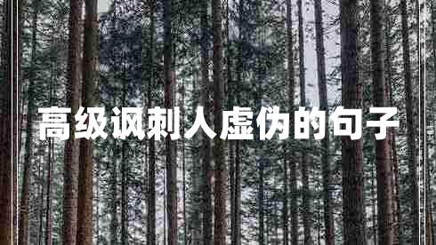 高級(jí)諷刺人虛偽的句子