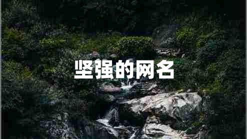 堅(jiān)強(qiáng)的網(wǎng)名