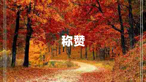 稱贊