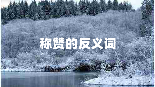 稱贊的反義詞