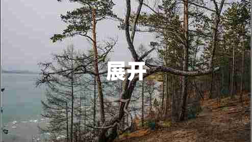 展開