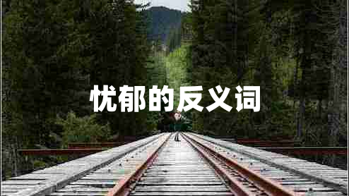 憂郁的反義詞