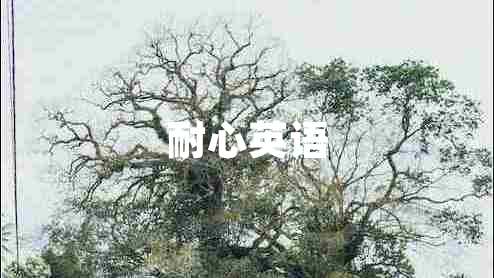 耐心英語