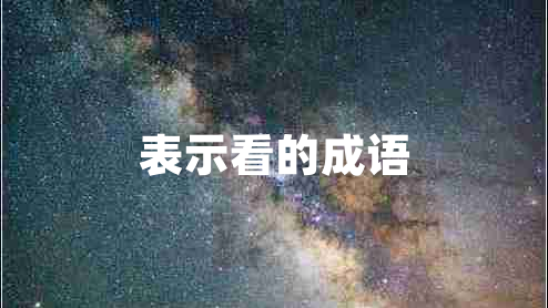 表示看的成語