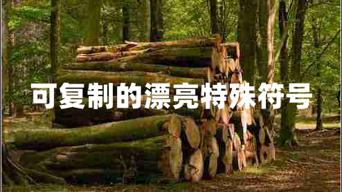可復(fù)制的漂亮特殊符號