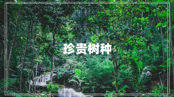 珍貴樹種