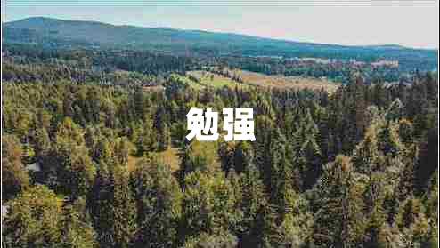 勉強(qiáng)