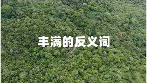 豐滿的反義詞