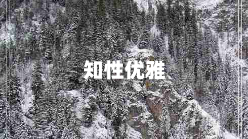 知性優(yōu)雅