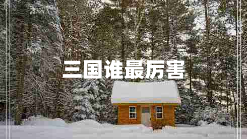 三國(guó)誰最厲害