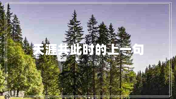 天涯共此時的上一句