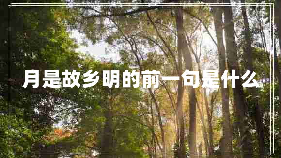 月是故鄉(xiāng)明的前一句是什么