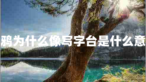 烏鴉為什么像寫字臺(tái)是什么意思