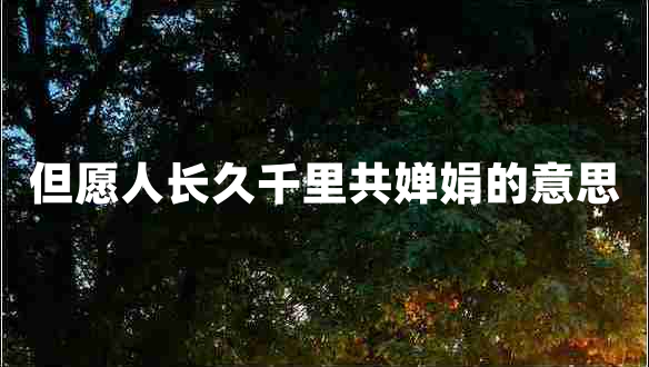 但愿人長久千里共嬋娟的意思