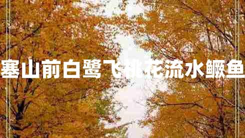 西塞山前白鷺飛桃花流水鱖魚肥