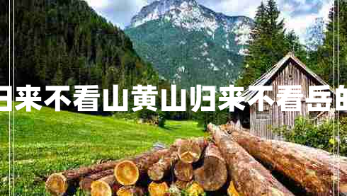 五岳歸來不看山黃山歸來不看岳的意思