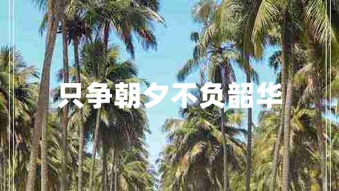 只爭(zhēng)朝夕不負(fù)韶華