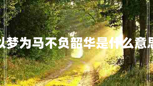 以夢為馬不負(fù)韶華是什么意思