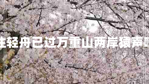 兩岸猿聲啼不住輕舟已過萬重山兩岸猿聲啼不住的下一句