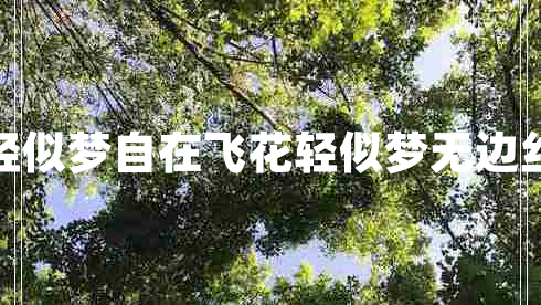 自在飛花輕似夢自在飛花輕似夢無邊絲雨細(xì)如愁