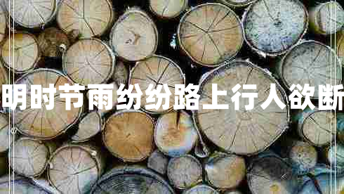 清明時節(jié)雨紛紛路上行人欲斷魂
