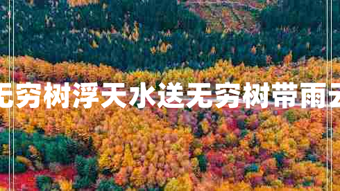 浮天水送無(wú)窮樹浮天水送無(wú)窮樹帶雨云埋一半山