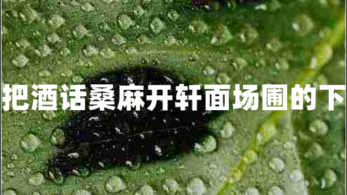 開(kāi)軒面場(chǎng)圃把酒話桑麻開(kāi)軒面場(chǎng)圃的下一句是什么