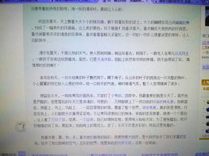 建議書,作文,六級,美食節(jié)