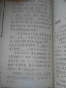 校園的一天作文600字初中,校園的一天作文300字,校園的一天作文500字