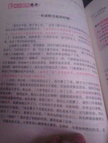 關于校園的作文300個字左右