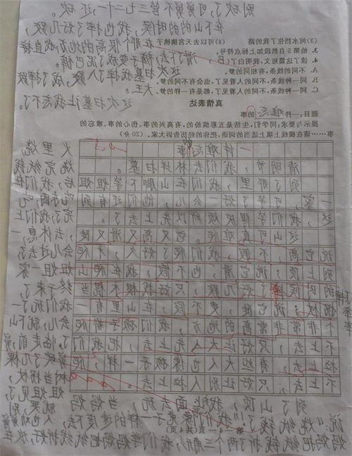 校園難忘一刻作文600字