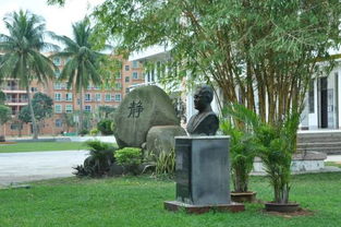 實(shí)驗(yàn)學(xué)校校園一角作文400