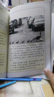 新校園新成長作文300字
