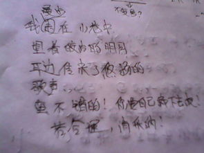 以月亮校園歌聲寫一篇作文