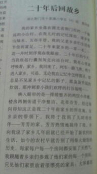 20年后的校園作文400字五年級,20年后的校園作文400字,20年后的校園作文400字五年級上冊