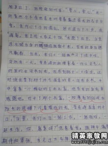 小學校園寫景作文怎么寫