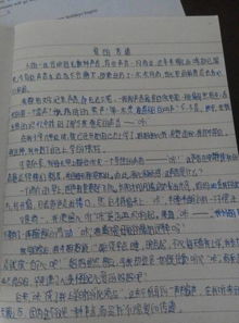 小學(xué)生作文充滿愛(ài)的校園