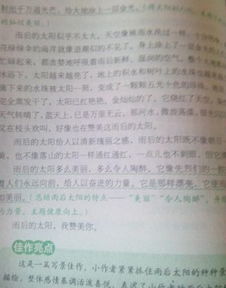 校園一角作文按游覽順序寫