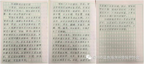 漫話國慶作文,漫話中秋作文,漫畫同學(xué)的作文