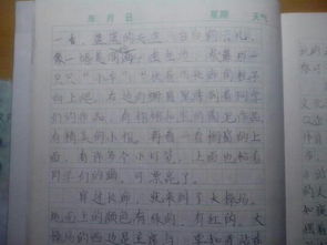 寫校園景色的作文400字,描寫校園景色的作文400字四年級,四年級寫校園景色的作文400字