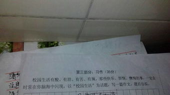 與校園有關(guān)的時光作文