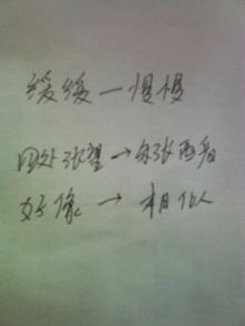 走出校園作文樂(lè)樂(lè)