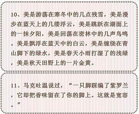 情暖校園作文好開頭