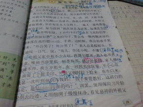 校園中的花作文30個字